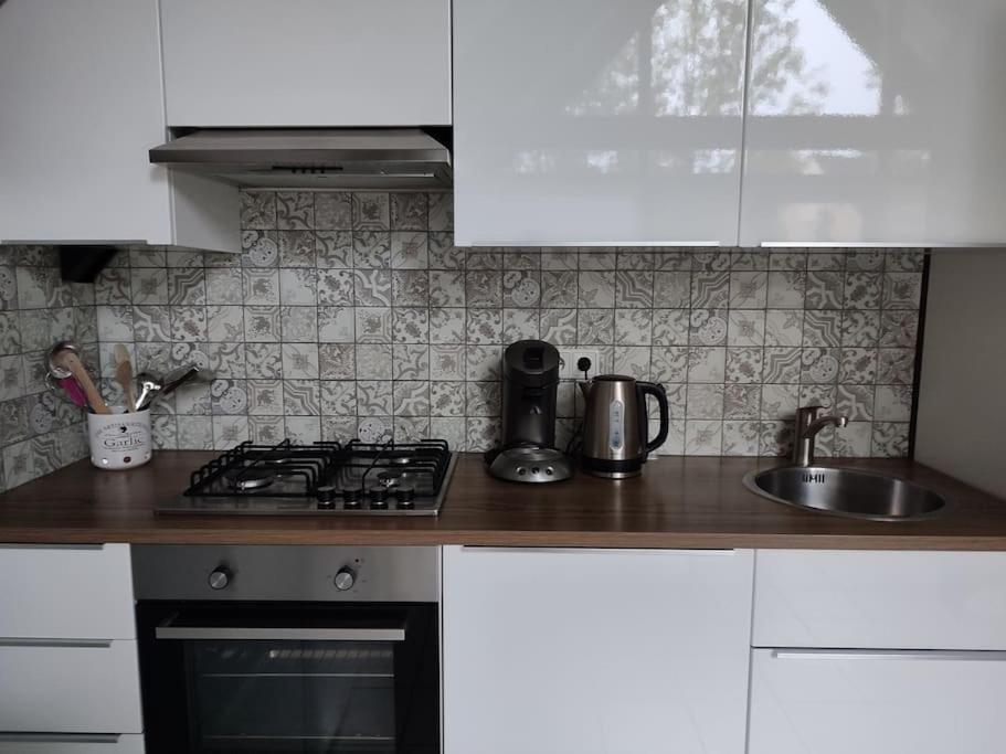 Vrijstaande Recreatiebungalow Met Slaapvide